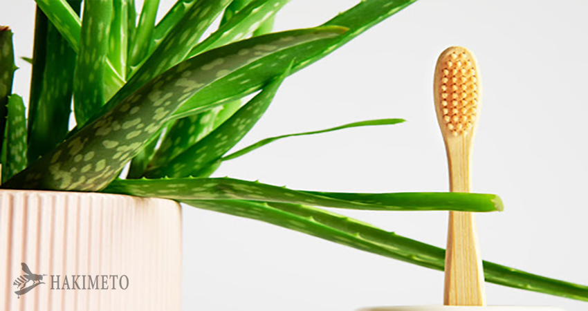 مزایای آلوئه ورا برای لثه و دندان