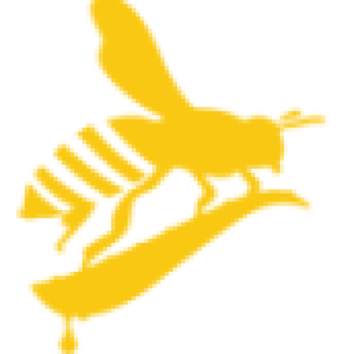 حکیم تو