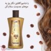 شامپو کافئین دکتر بیز