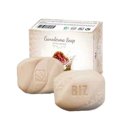 صابون قارچ گانودرما 5 عددی